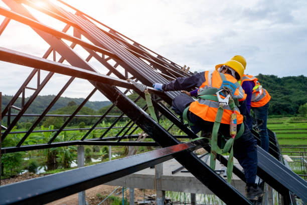 Best Roof Repair Services  in Scotland Neck, NC