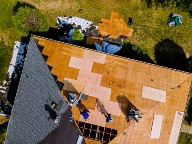 Best Commercial Roofing Services  in Scotland Neck, NC