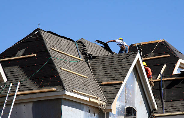 Best Best Roofing Contractors  in Scotland Neck, NC