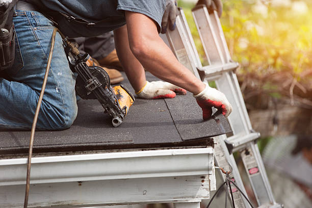 Quick and Trustworthy Emergency Roof Repair Services in Scotland Neck, NC