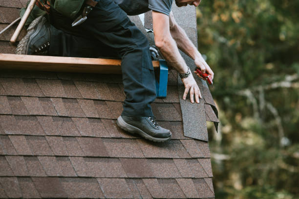 Best Flat Roof Repair Services  in Scotland Neck, NC